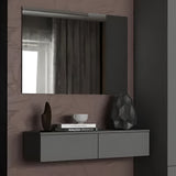 Комплект мебели Doros Левия + зеркало Графит 100х32х100 (42005236)