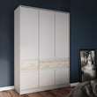 Шкаф распашный для одежды с выдвижными ящиками (полки - штанга) Эверест Стайл-1400 140х53х203 см Кашемир/Дуб крафт серый (DTM-071162)