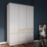 Шкаф распашный для одежды с выдвижными ящиками (полки - штанга) Эверест Стайл-1400 140х53х203 см Кашемир/Дуб крафт серый (DTM-071162)