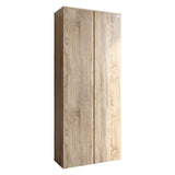 Модуль-3 шкаф распашной двухдверный LION Нобу Дуб Сонома трюфель (LION-042399)