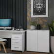 Комод в гостиную Doros Рон 3 80х38х81 см Белый (DRS-011296)