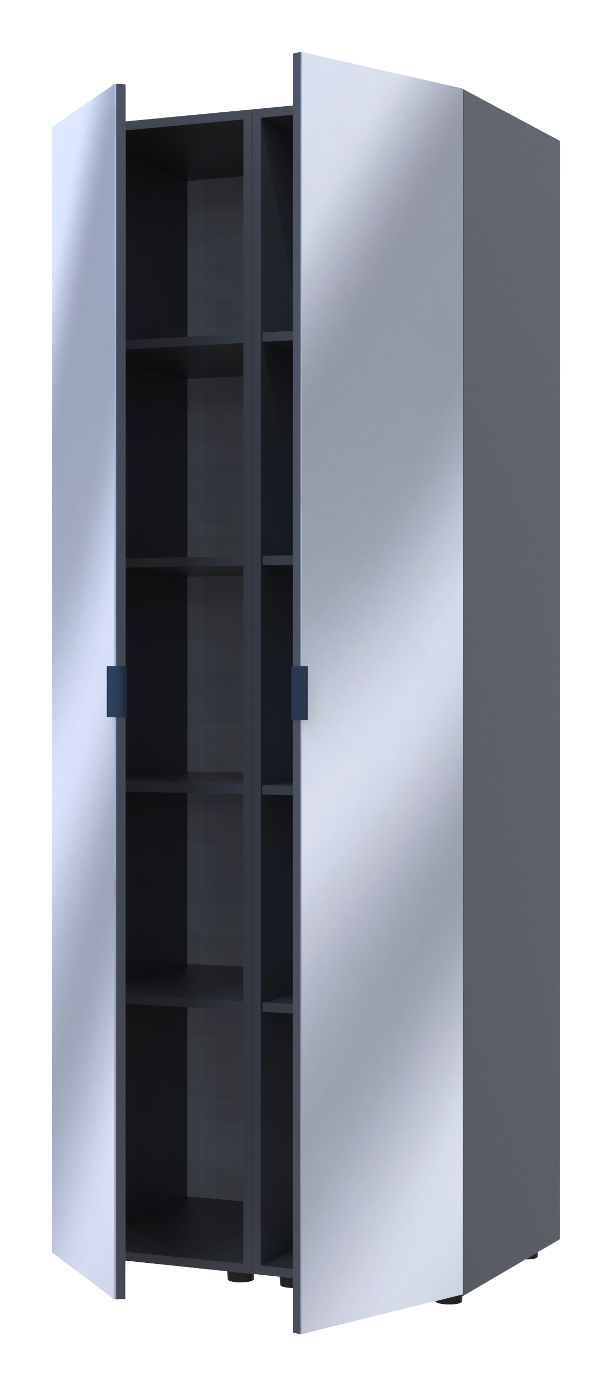 Комплект пеналов для одежды Doros Гелар (2 шт.) 78х49,5х203,4 см 2 Зеркала/Графит (DRS-011125)