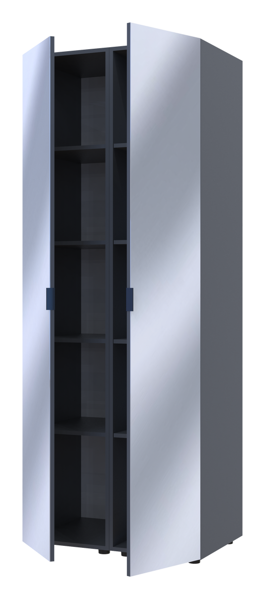 Комплект пеналов для одежды Doros Гелар (2 шт.) 78х49,5х203,4 см 2 Зеркала/Графит (DRS-011125)