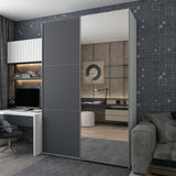 Шкаф-купе двухдверный Doros G-Caiser 160х60х240 см Белый/Графит/Зеркало (DRS-011015)